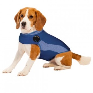 ThunderShirt Blue