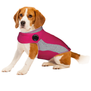 ThunderShirt Pink