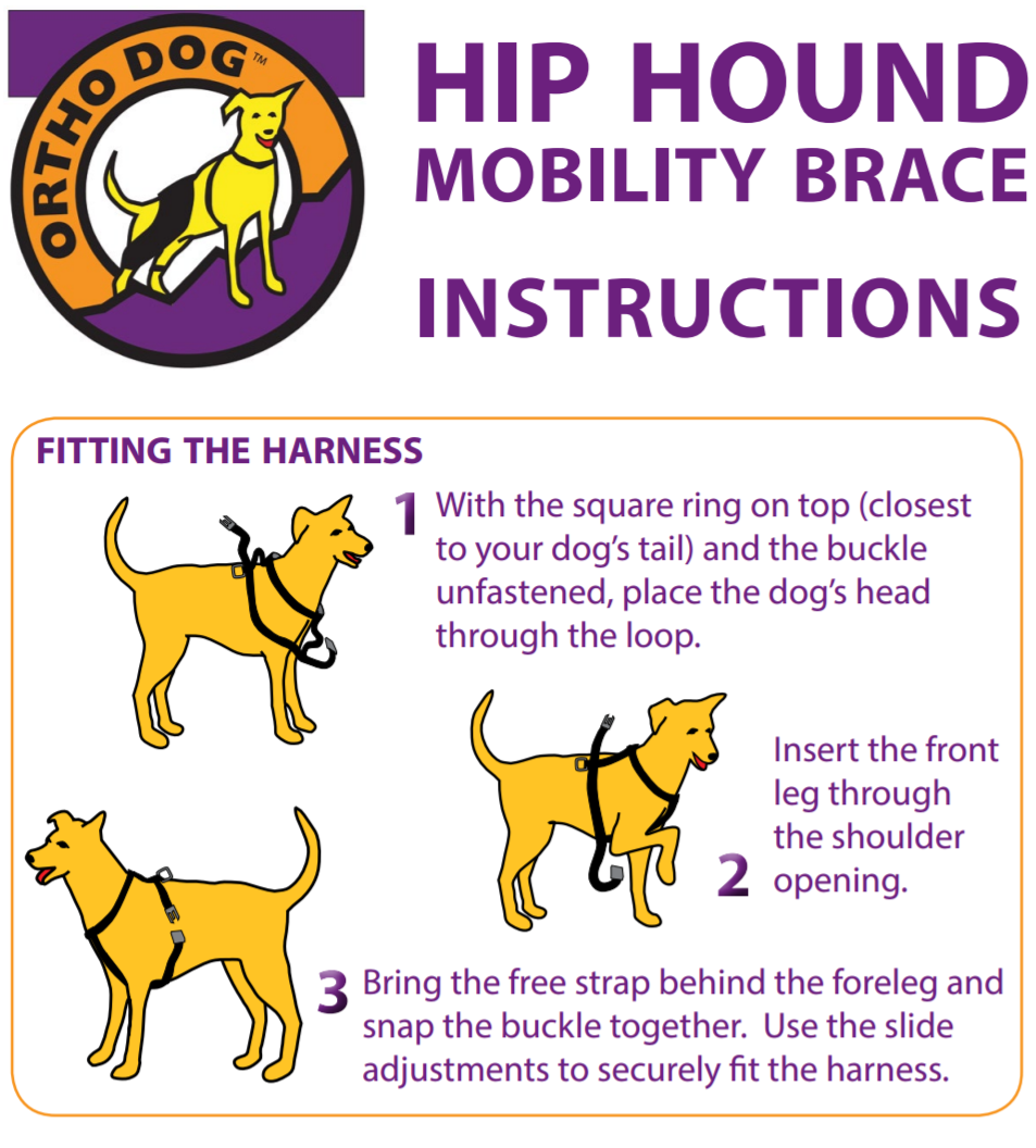 Hip hound outlet mobility brace